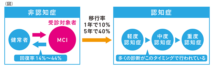 MCIについての図説